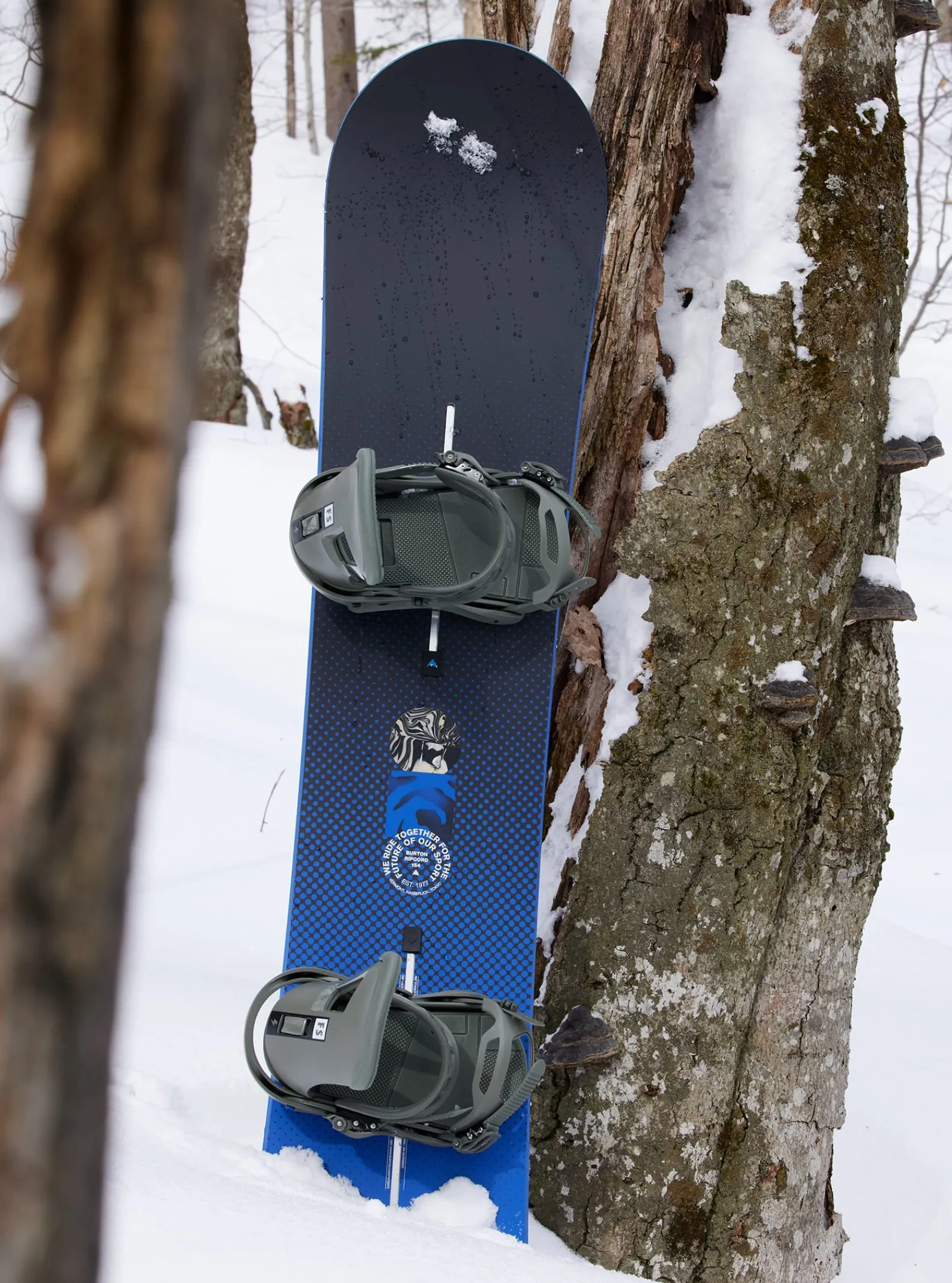burton__snowboard_plat_ri_6.webp Homme Burton – Snowboard Plat Ripcord Homme