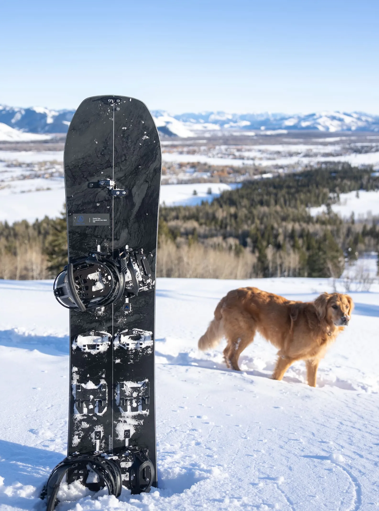 burton__splitboard__cambr_5-1.webp Femme/Homme Burton - Splitboard à Cambre Family Tree Hometown Hero