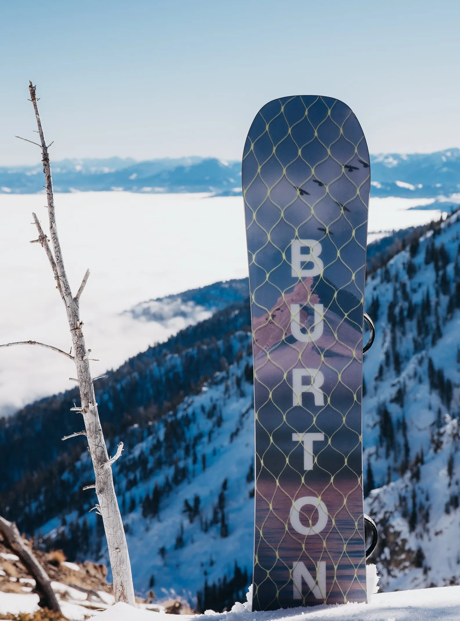 burton_snowboard__cambre__7-3.webp Femme Burton - Snowboard à Cambre Story Board Femme