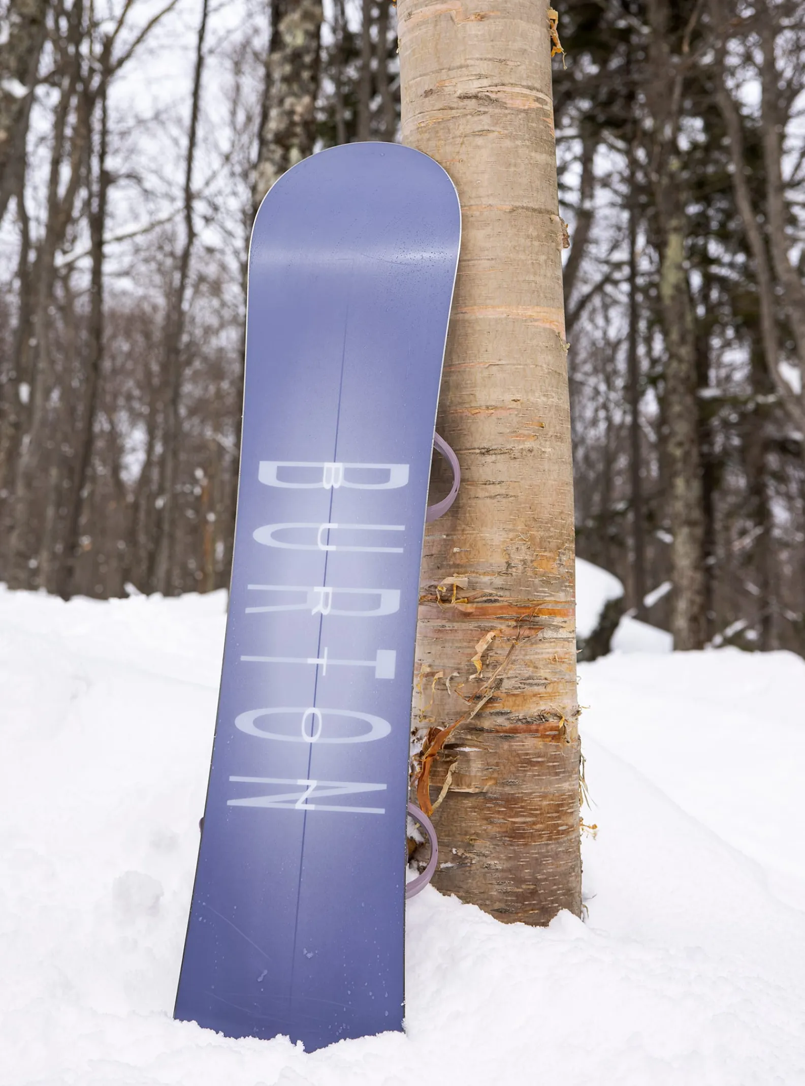 burton_snowboard_stylus_f_7.webp Femme Burton - Snowboard Stylus Flat Top Femme